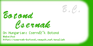 botond csernak business card